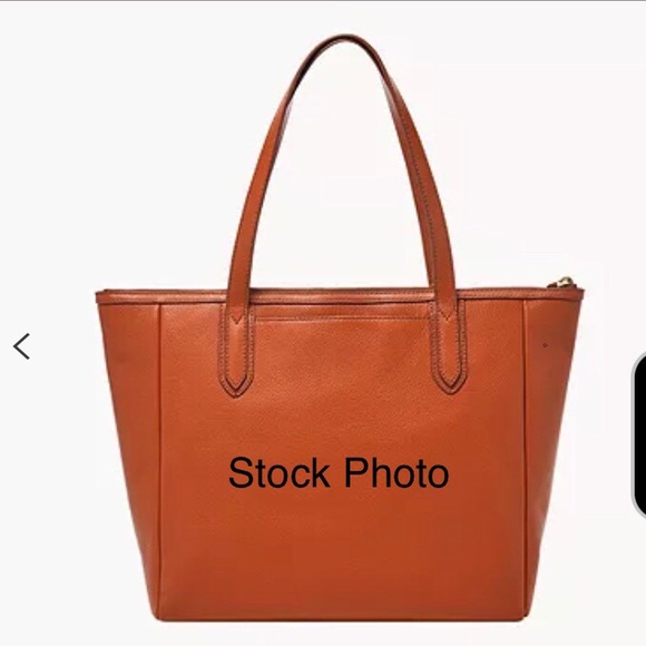 Fossil Tote (Rare Color) - Picture 9 of 11